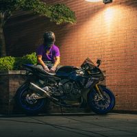motosquidy