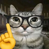sofihxql