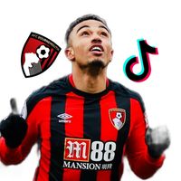 fansblue43