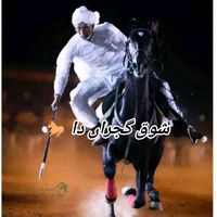 horses.lover34