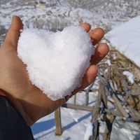 orijinal ses