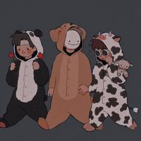_daun162