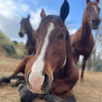 sunsetranchhollywood