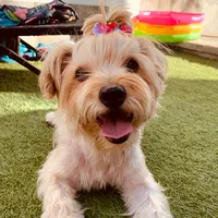 original sound - nala.nalita12