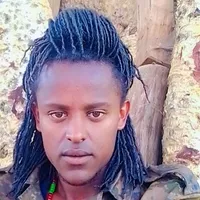 original sound - gurreekoo430