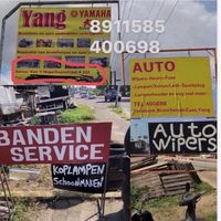 yang8911585