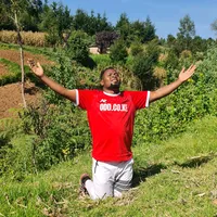 original sound - presenter.makila