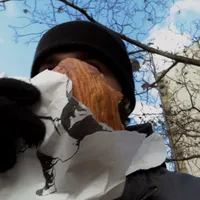 original sound - reezy231