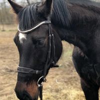 emoji_my.horse