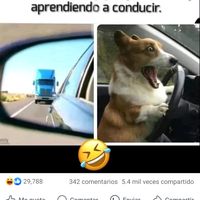 felipe_rosalino