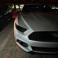 jgelwhips
