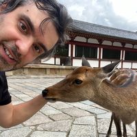 original sound - culturesnap