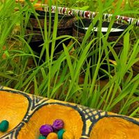 الصوت الأصلي