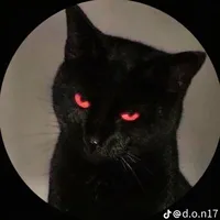 original sound - _evibol