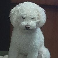 bauti_paez8