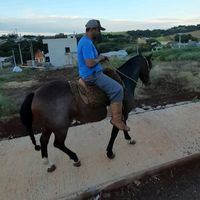 jeferson_siqueira38