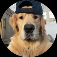 original sound - djhe4868