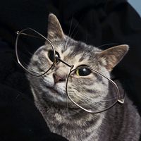 dopeymatkosky