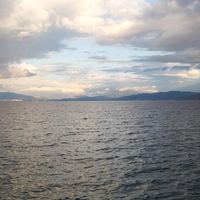 jana2000_4