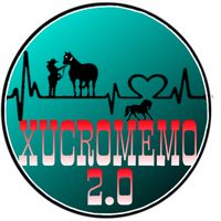 xucromemo2.0