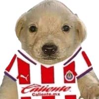 chivas_pasion2009