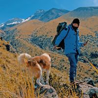 sonido original - [🐺🌌]🐾Qori_Wayra💘