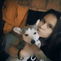 ameliawariatka