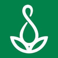 original sound - JAN