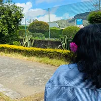 original sound - thebasicbrowngirl_