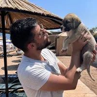 original sound - conffido