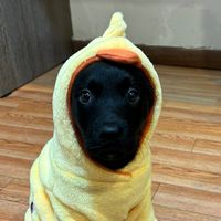 eli_carboncita