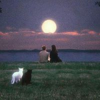 DHL Frank Ocean edited