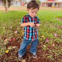 minifazendeiro_vicente