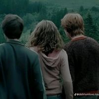 harry.potter3792