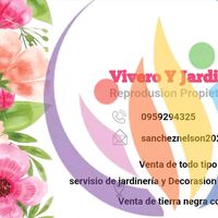 vivero1680146181327