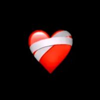 rolas_342