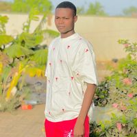 badiel401