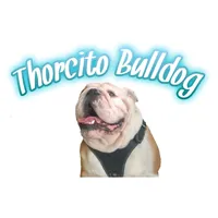 original sound - thorcitobulldog