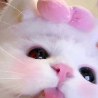 suara asli - Lyaa