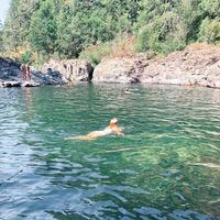 isawflowersinyourhair