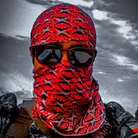 creator.searh.nisite