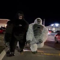 gorillaboyz.6ix