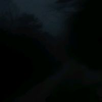 jacoby_y2010