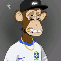 divulga.baixo