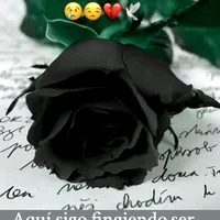 original sound - pattyvlzacons