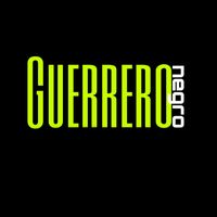 guerreronegrovol2