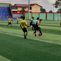fkclino17