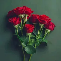 original sound - apukar.8