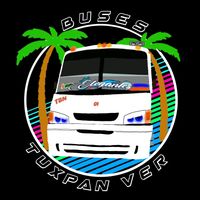 buses_tuxpan_ver