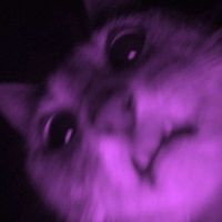 _pribinacekk_